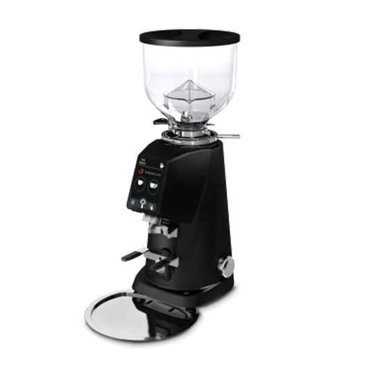 Fiorenzato F4 Evo Coffee Grinder Fiorenzato