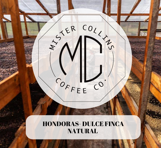 Mr. Collins Dulce Single Origin- Hondoras-Natural Process(5lbs Bag)